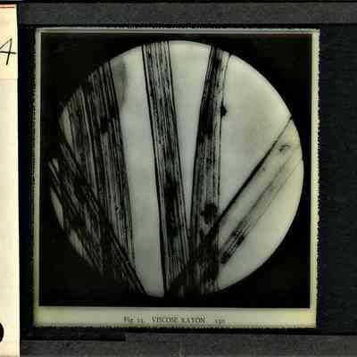 Origformat: Print-Photographic