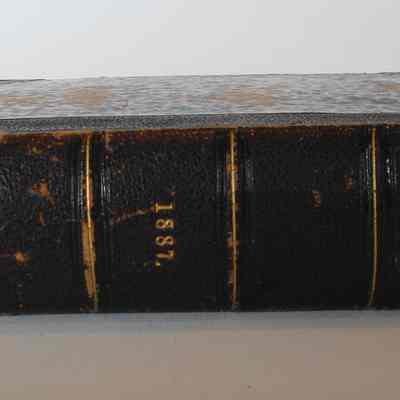 Spine