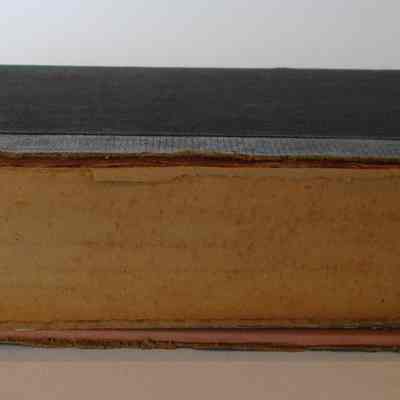 Spine