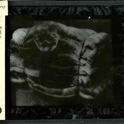 Glass-plate negative slide