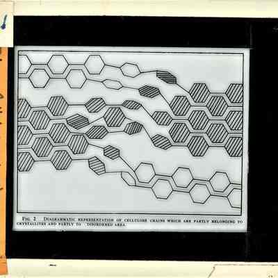 Glass-plate negative slide