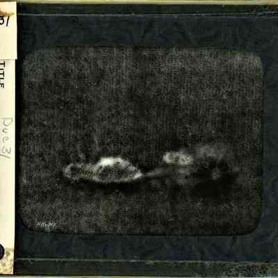 Origformat: Print-Photographic