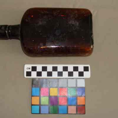 Bottle
