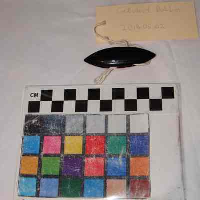 Celluloid lacemaking bobbin