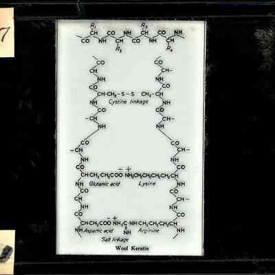 Origformat: Print-Photographic