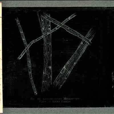 Glass-plate negative slide