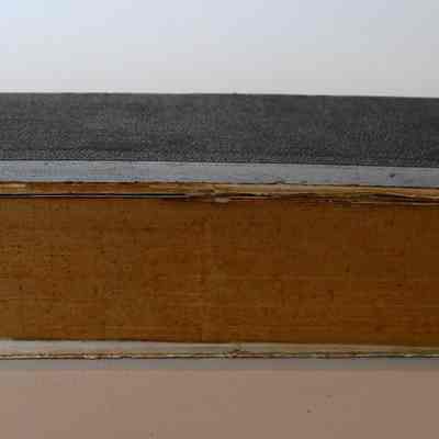 Spine