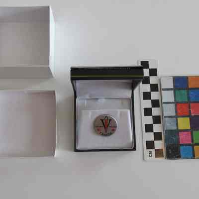 WWII Medal
