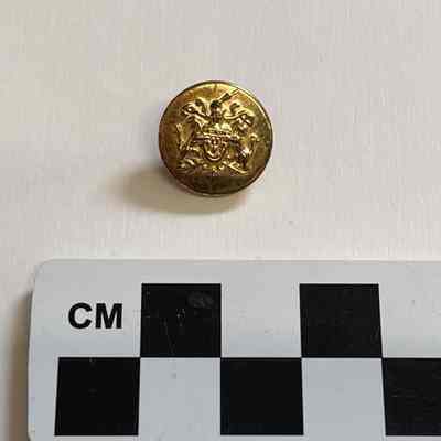 2021.07.09.01p: brass button with heraldic crest
