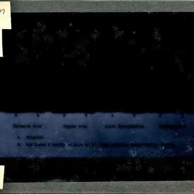 Glass-plate negative slide