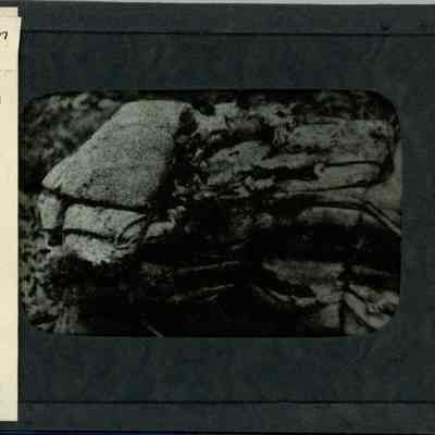 Origformat: Print-Photographic