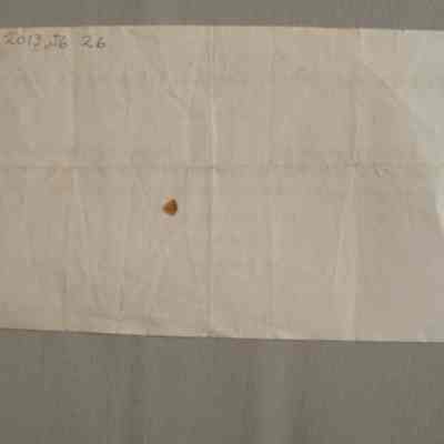 Stock Receipt