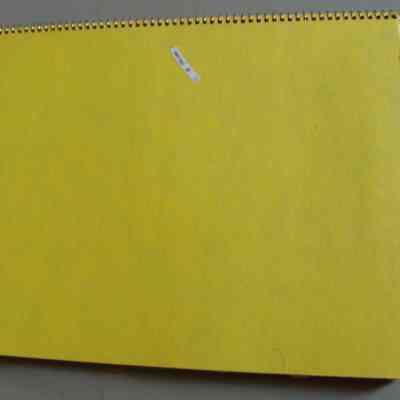 Appleton Women's Institute Scrapbook