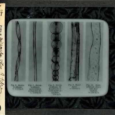 Origformat: Print-Photographic
