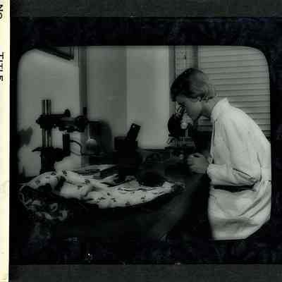Glass-plate negative slide