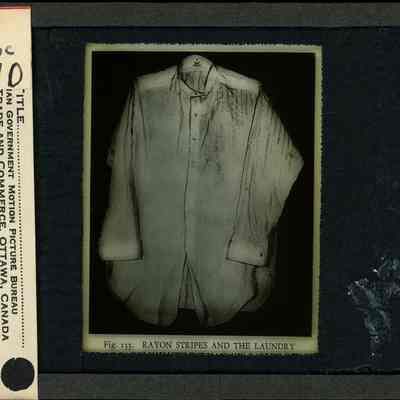 Glass-plate negative slide