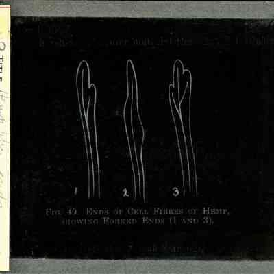 Origformat: Print-Photographic