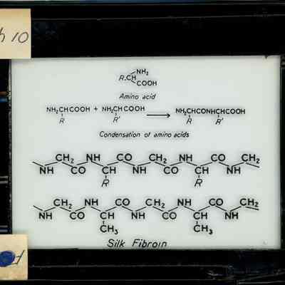 Glass-plate negative slide
