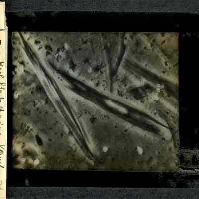 Glass-plate negative slide