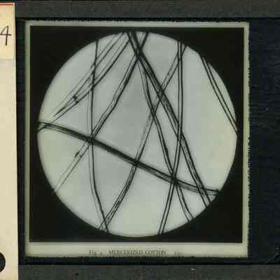 Origformat: Print-Photographic
