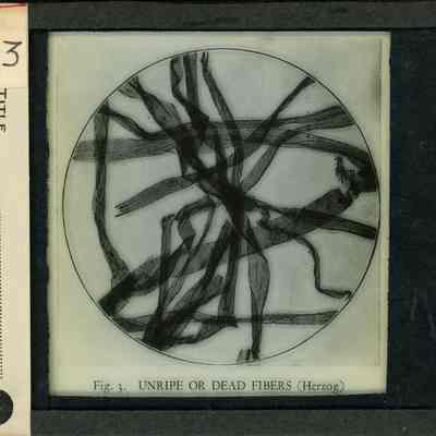 Origformat: Print-Photographic
