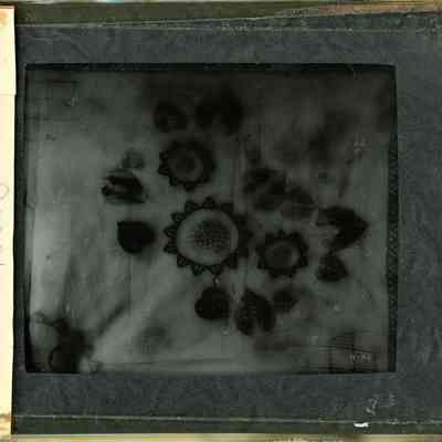 Glass-plate negative slide