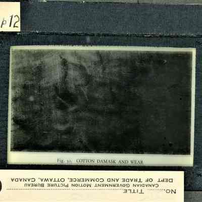 Glass-plate negative slide