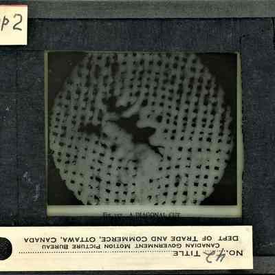 Glass-plate negative slide
