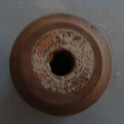 1999.03.10 bottom view