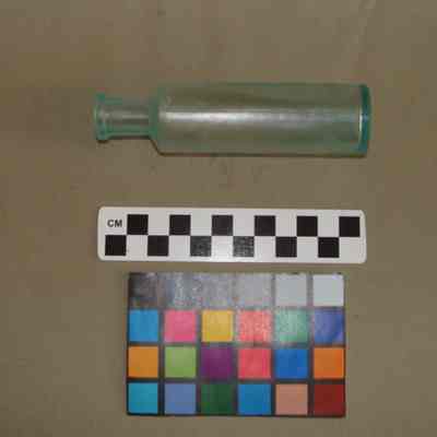 Bottle
