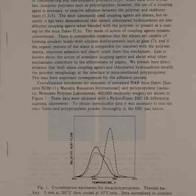 Modification of the interface morphology in mica-reinforced polypropylene.
