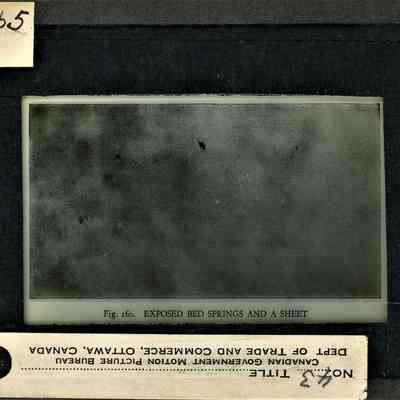 Glass-plate negative slide