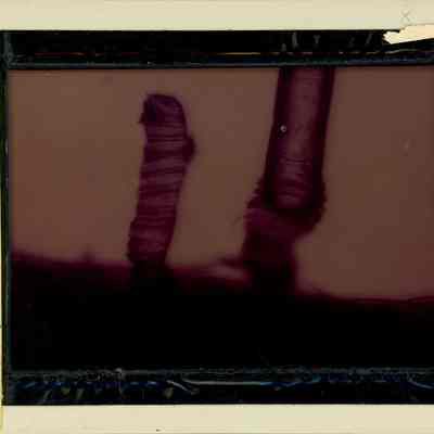 Glass-plate negative slide