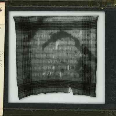 Glass-plate negative slide