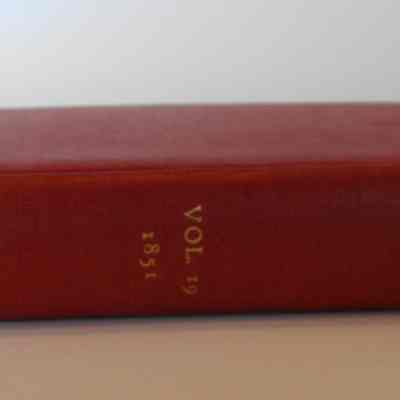 Spine