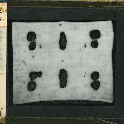 Glass-plate negative slide