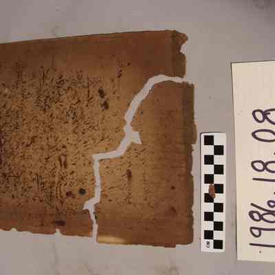 Blotting Paper