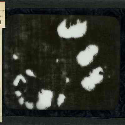 Origformat: Print-Photographic