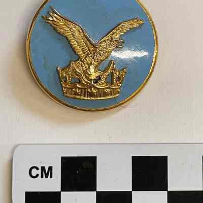RCAF air command pin