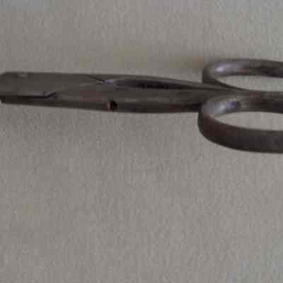 Scissors
