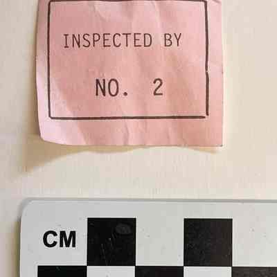 Inspection tag