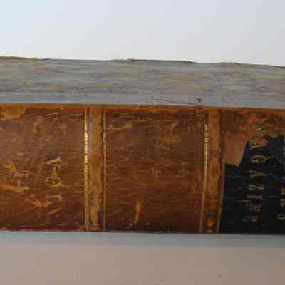 Spine