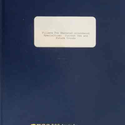 Fillers for uncoated groundwood specialties: Current use and future trends / Gordon M. Clare.