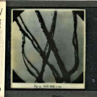 Glass-plate negative slide