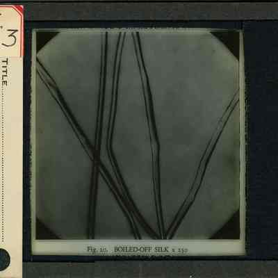 Glass-plate negative slide