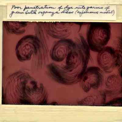 Glass-plate negative slide