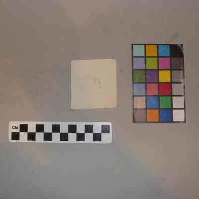 1991.05.03.38g (Back)