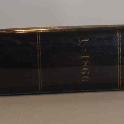 Spine