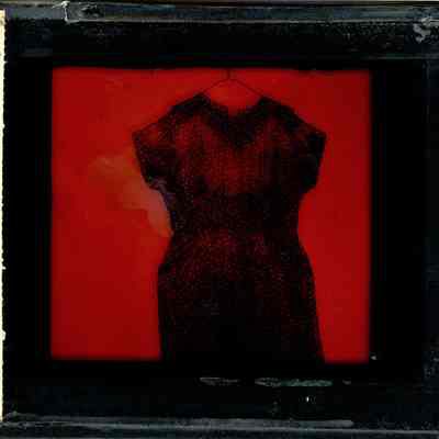 Glass-plate negative slide