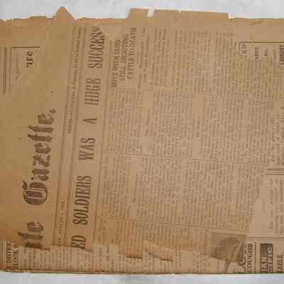 The Almonte Gazette
